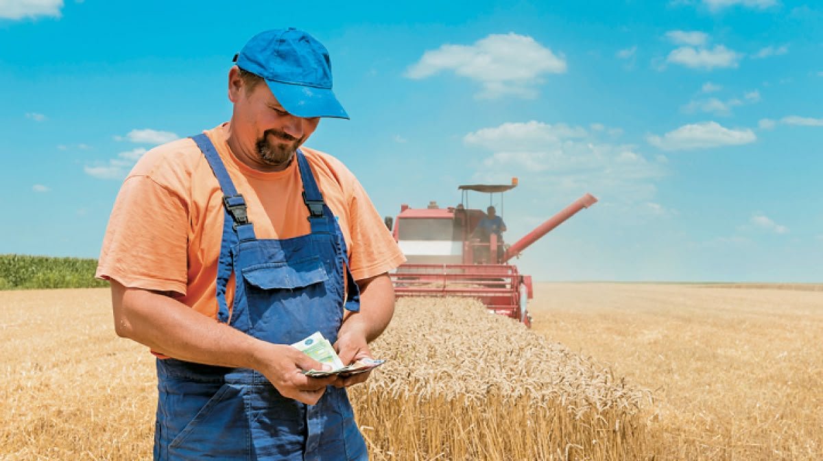 Projets agricoles